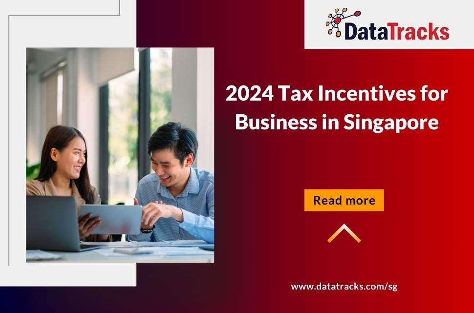 2024 Tax Incentives for Business in Singapore_ DataTracks ACRA XBRL Services