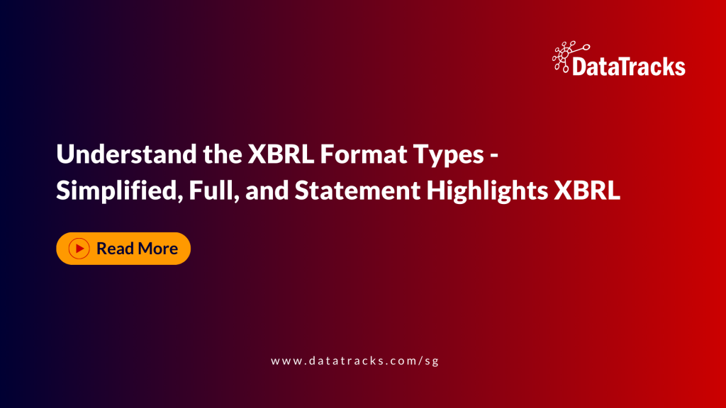 Understand the XBRL Format Types