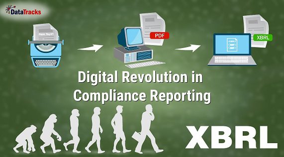 xbrl image