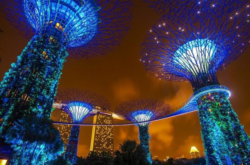 Supertree garden at night in Garden by the bay, Singapore