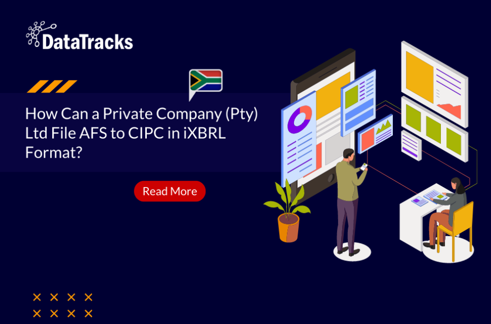 CIPC iXBRL Filing for Private Companies in South Africa